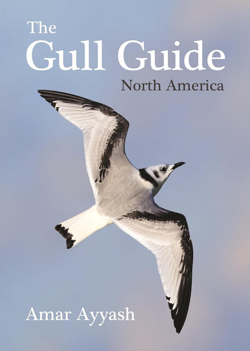 The Gull Guide: North America - Amar Ayyash 2024